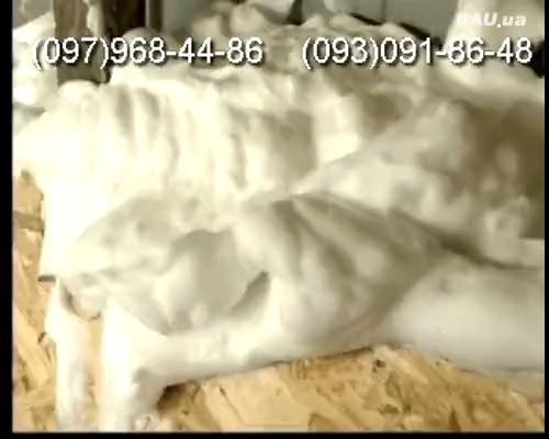 Самый эффективный способ утепления пеноизол, экоизол. Самый эффективный способ утепления пеноизол, экоизол.