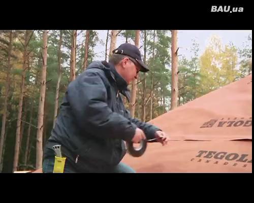 Тегола технологии и факты